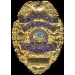 VENTURA, CA POLICE DEPARTMENT MINI BADGE PIN